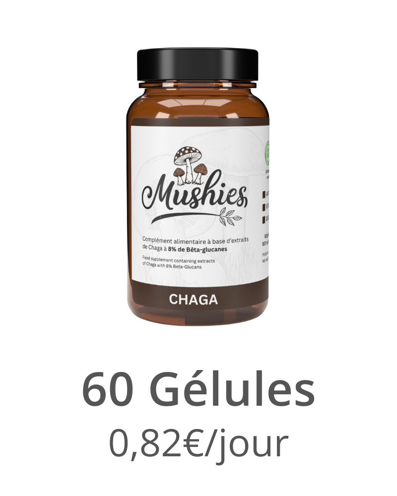 Chaga - Gélules
