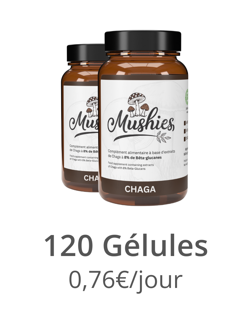 Chaga - Gélules