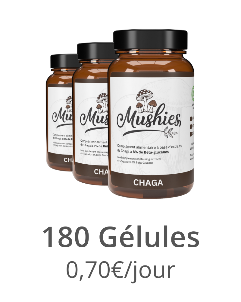 Chaga - Gélules